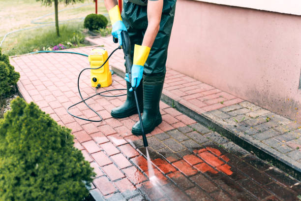 Best Roof Power Washing Services  in Mazon, IL