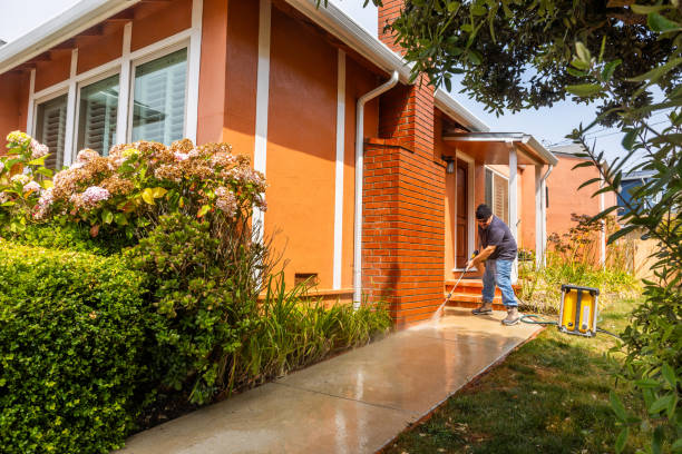 Best Best Pressure Washing Companies  in Mazon, IL